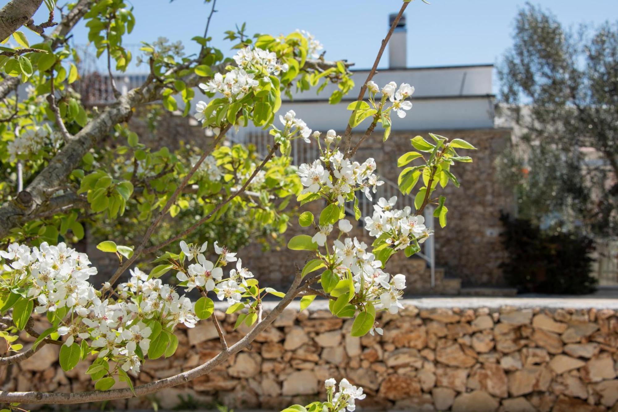 Masseria Agriturismo Faresalento Gallipoli Luaran gambar